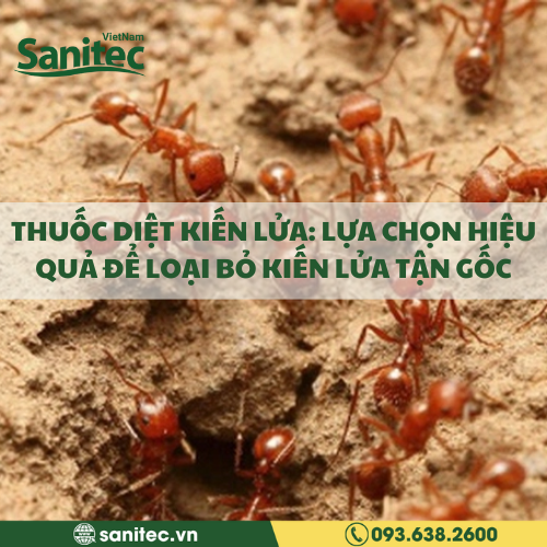 THUỐC DIỆT KIẾN LỬA: LỰA CHỌN HIỆU QUẢ ĐỂ LOẠI BỎ KIẾN LỬA TẬN GỐC